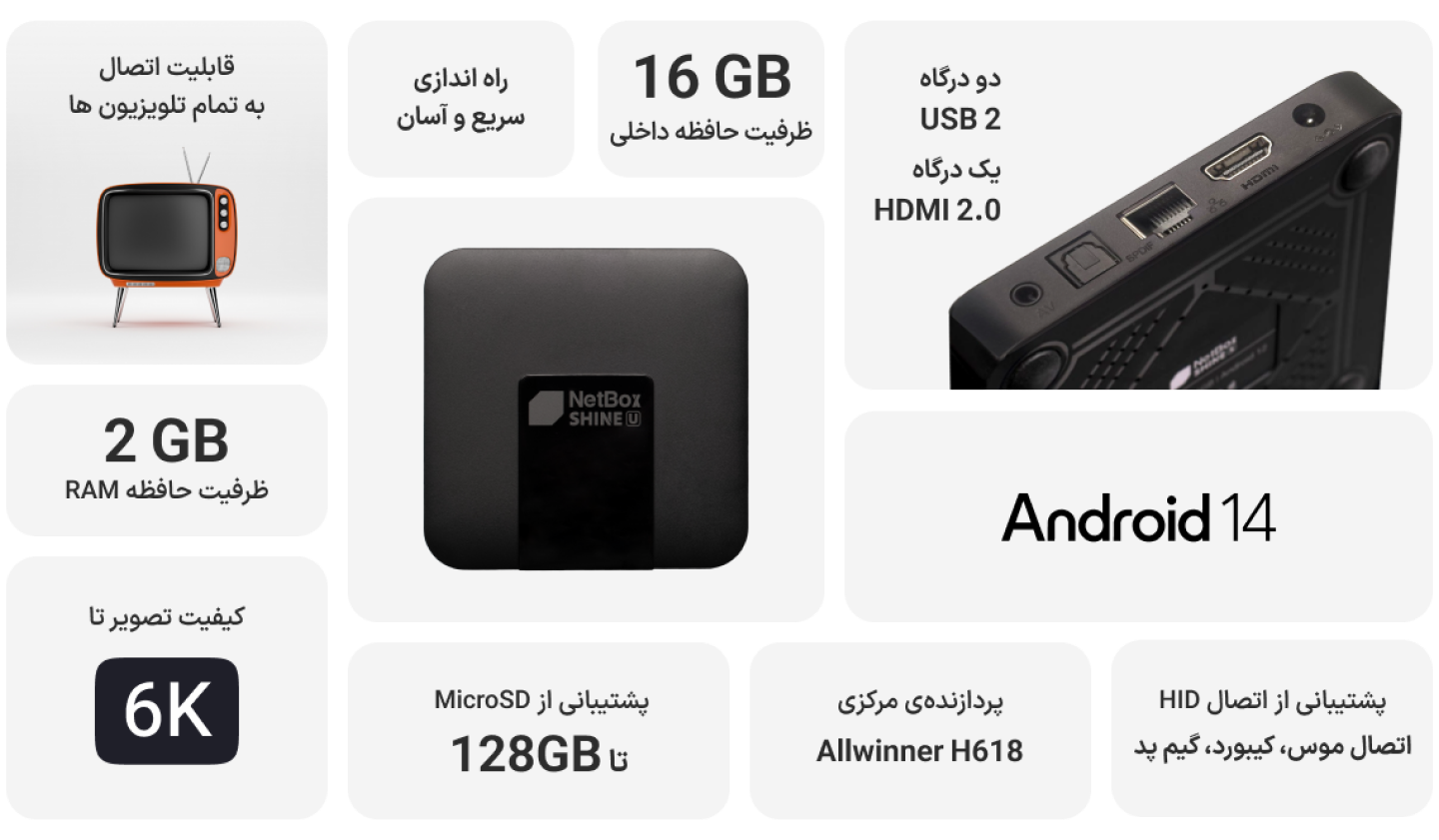 Netbox Shine Infographic