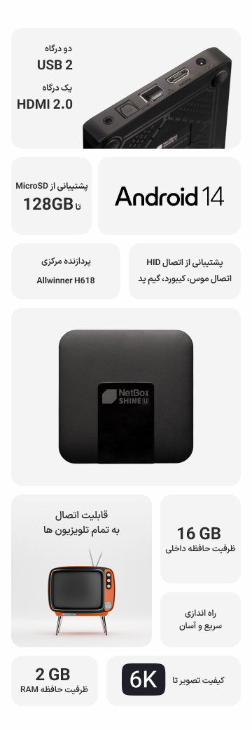 Netbox Shine Infographic