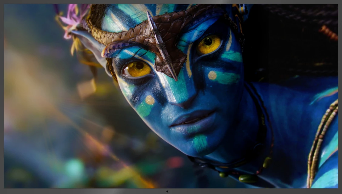 Netbox Prestige Edition Features